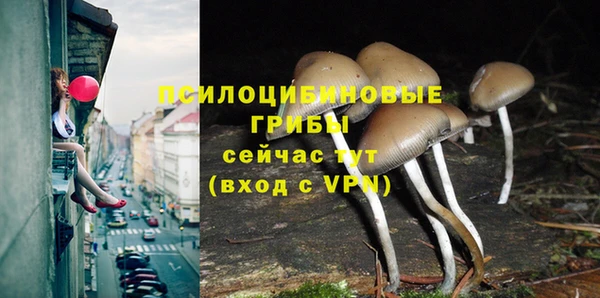 прущая мука Краснослободск